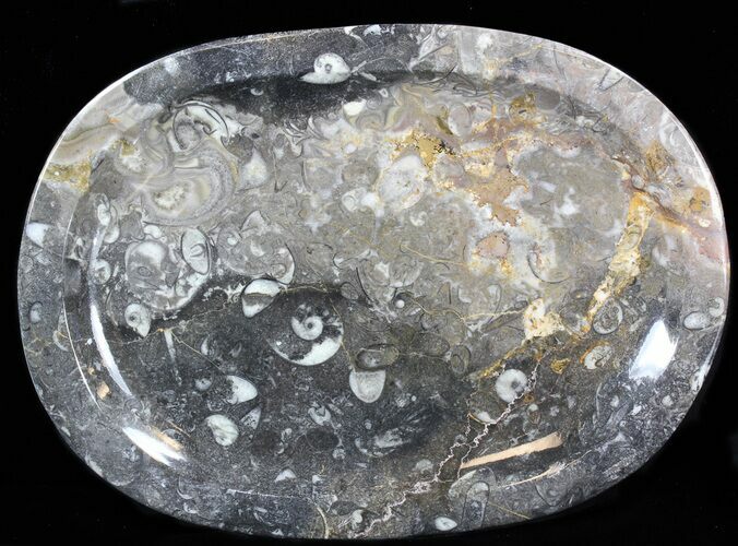 / Fossil Orthoceras & Goniatite Plate - Stoneware #40380